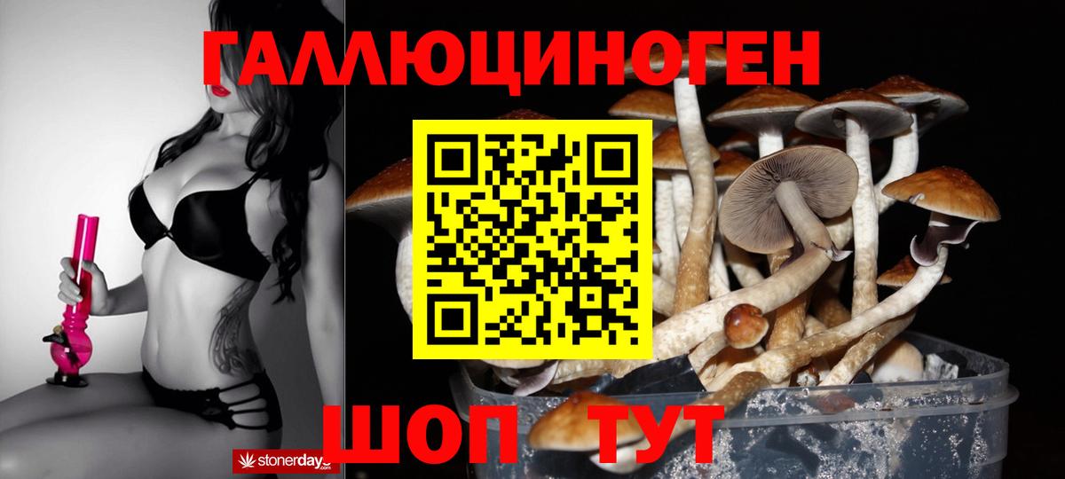 закладка  Псилоцибиновые грибы Psilocybine cubensis  Вход с VPN  Псилоцибиновые грибы Magic Shrooms  Богородск 